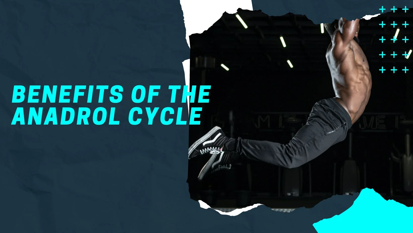 Benefits of the Anadrol Cycle